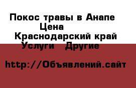 Покос травы в Анапе › Цена ­ 300 - Краснодарский край Услуги » Другие   